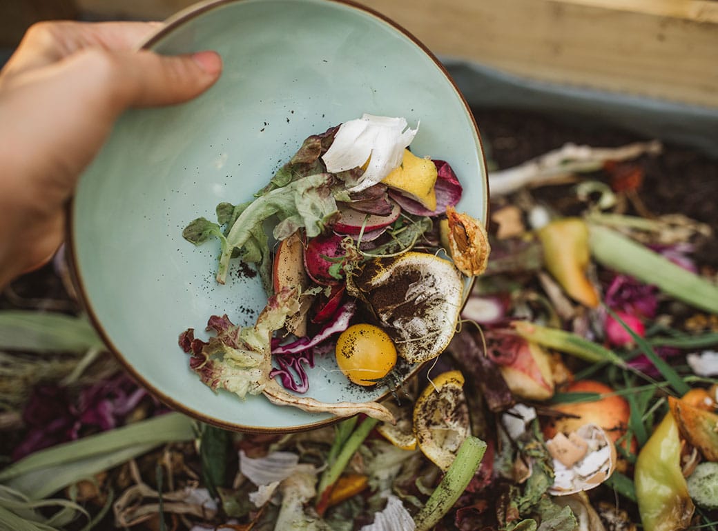 Read more about the article Time to get serious about food waste